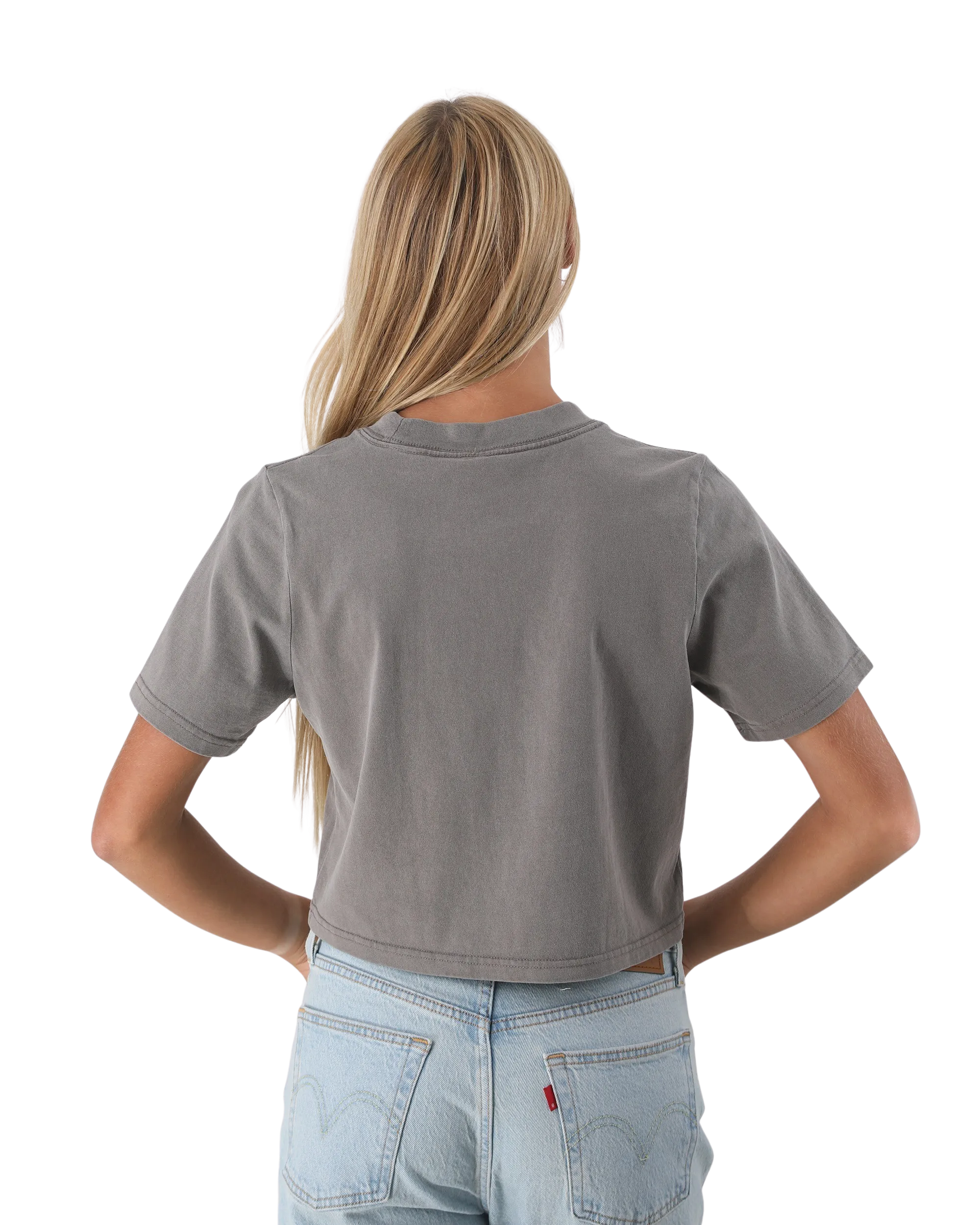 Beach Club Crop T-Shirt in Verblasstem Grau