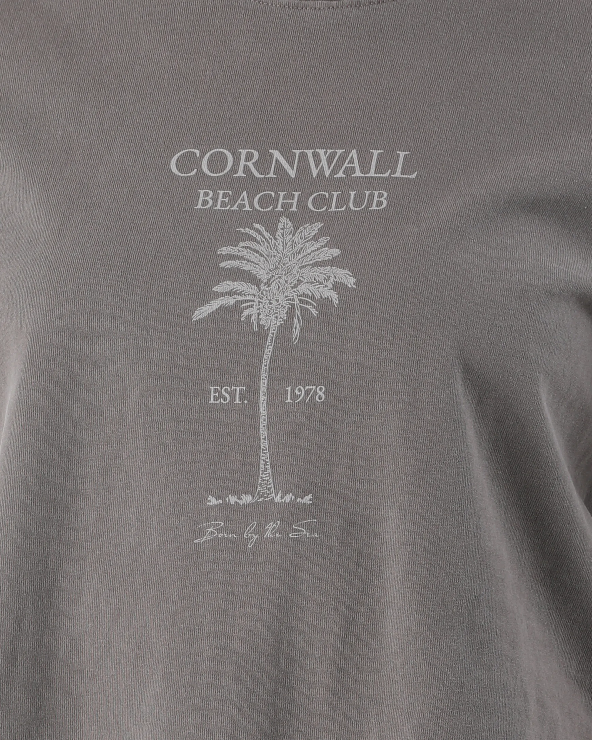 Beach Club Crop T-Shirt in Verblasstem Grau
