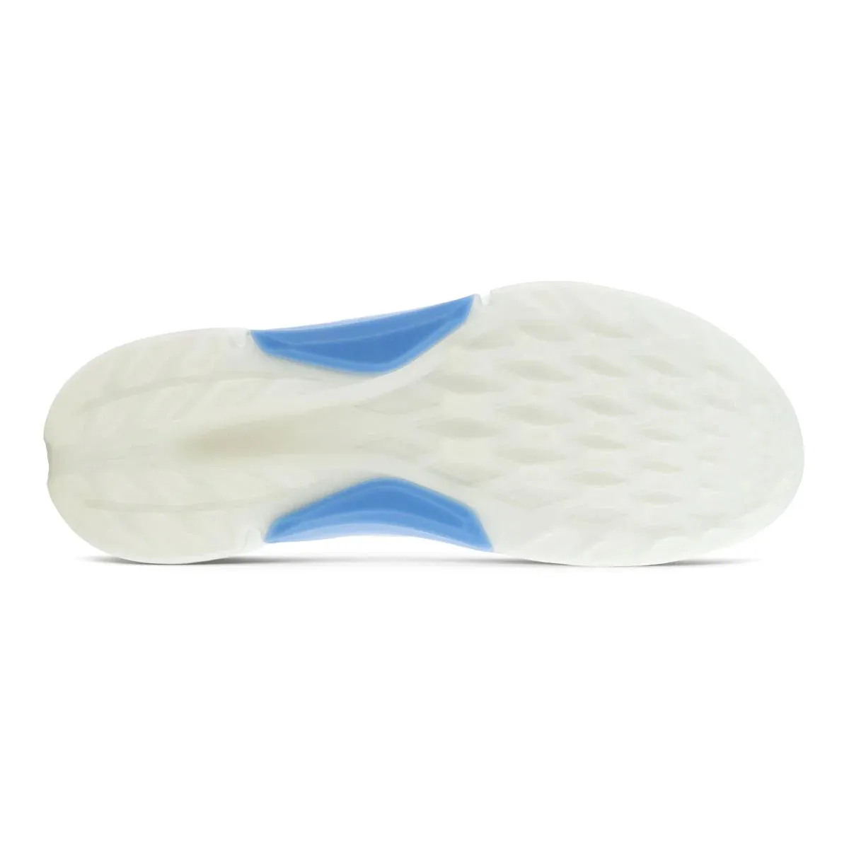 Ecco Biom Hybrid 4 Golfschuhe 108284