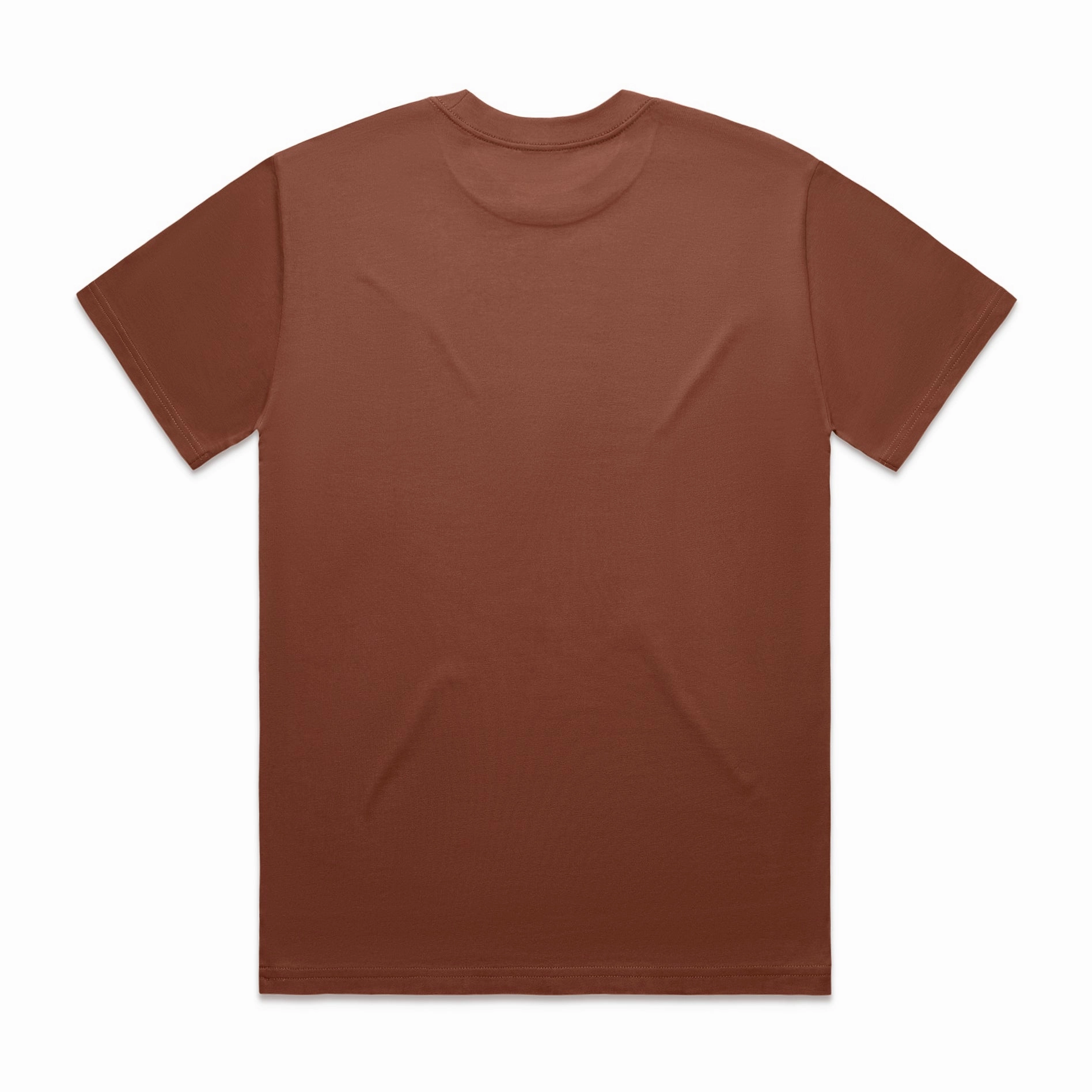 Heavy T-shirt (Earth)