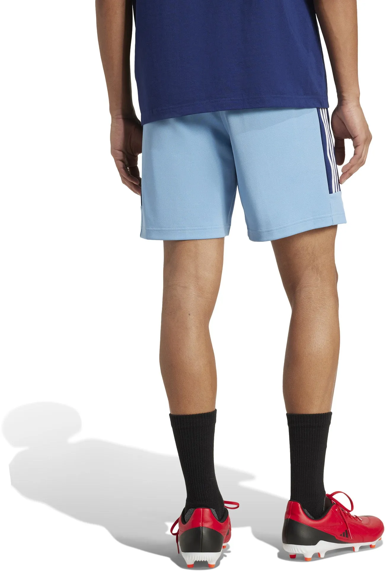 Herren State Of Origin New South Wales Rugby Tiro Nations Pack Shorts