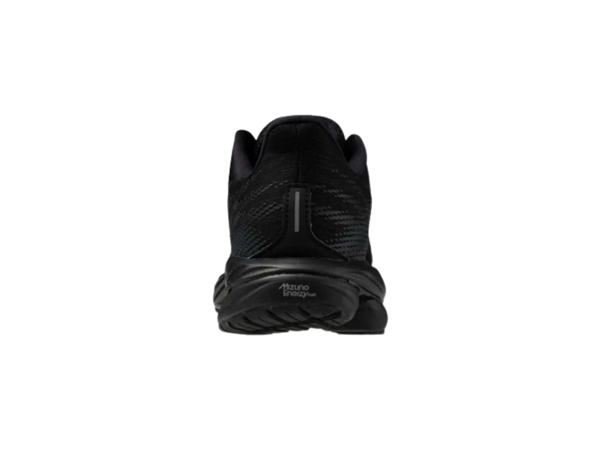 Schuhe Mizuno Mizuno Wave Inspire 21 Herren